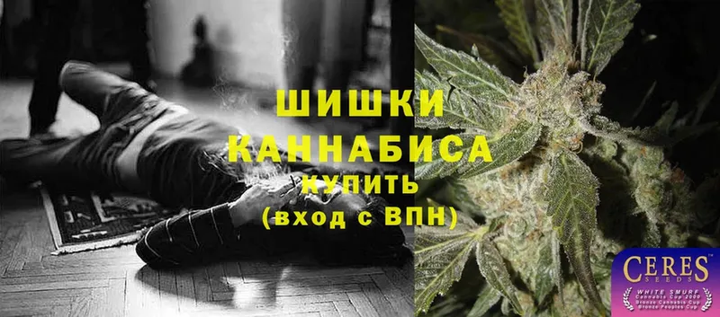 Конопля Amnesia  купить закладку  Старый Оскол 